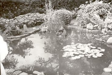 Aktiv sommer 2005