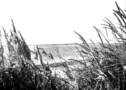 Aktiv sommer 2013