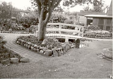 Aktiv sommer 2005