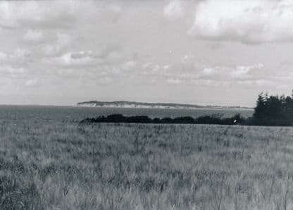 Aktiv sommer 2014