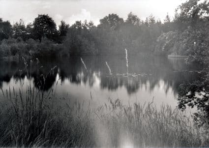 Aktiv sommer 2015
